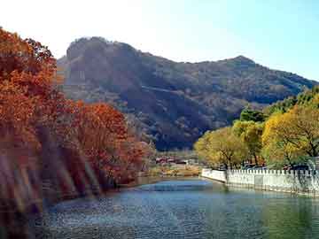 澳门二四六天天彩图库，宿州seo排名